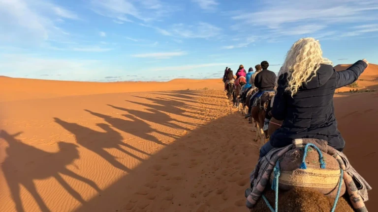a serene scene of camel rides in the sahara desert