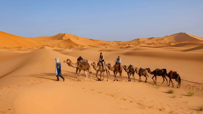 breathtaking view of the sahara desert during sunset showcasing rolling sand dunes