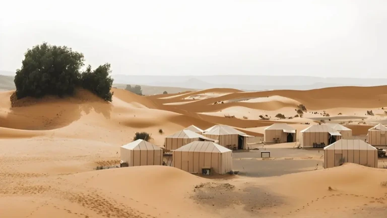 things to do in ouarzazate