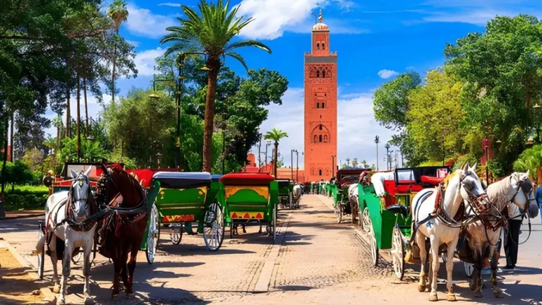 view of marrakesh morocco beautiful view horse carriages