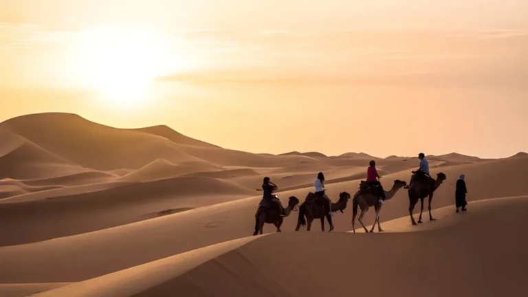 view of ouarzazate morocco showcasing an adventurous desert excursion