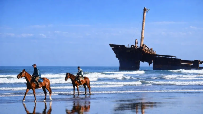 el jadida activities