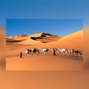 10 days in morocco camel trekking sahara 650x650 clear