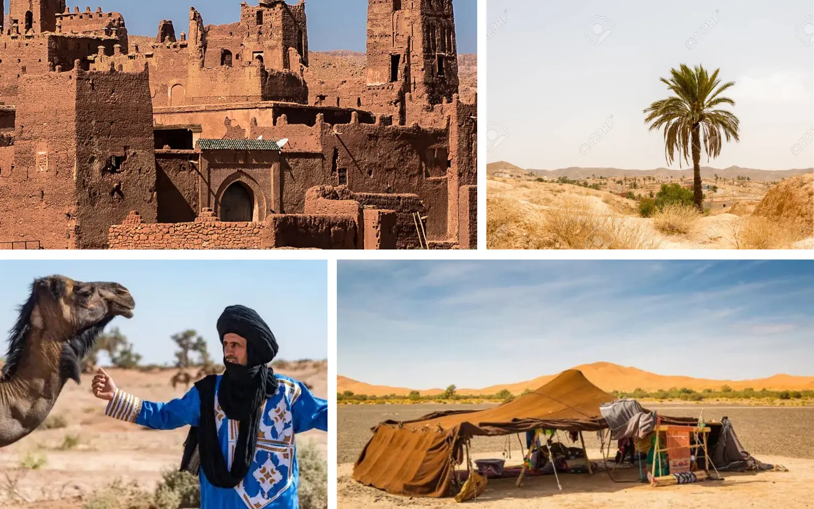 morocco facts interesting