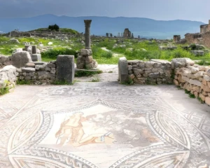 volubilis archaeological site